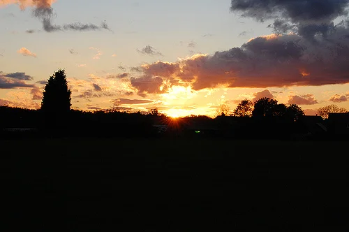 1792955696_7c593f1e60.webp