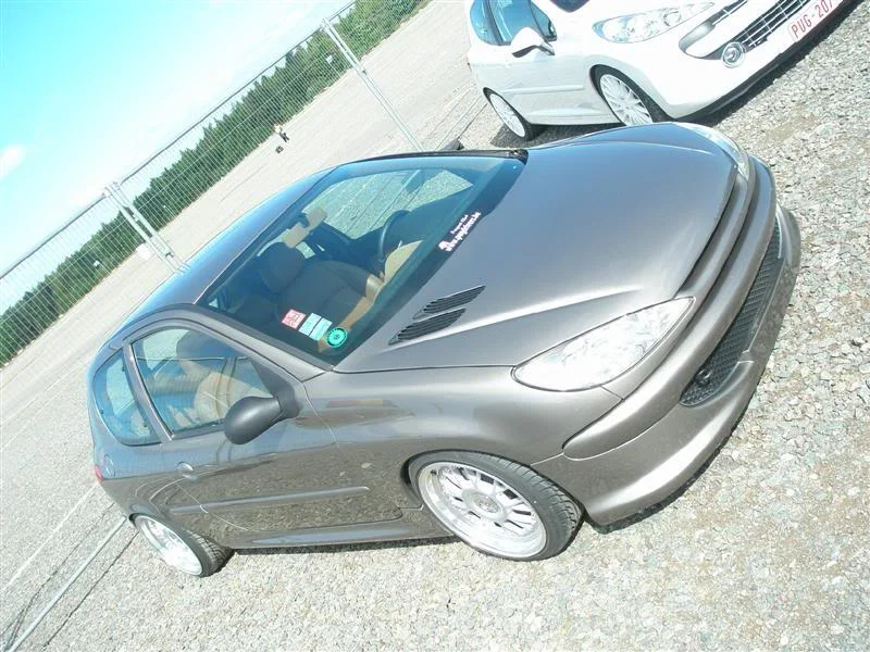 18.webp