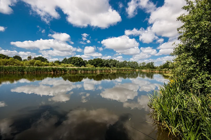 18387252668_9c6a1dcc77_c.webp