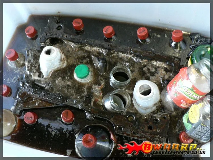 184436-vi.webp
