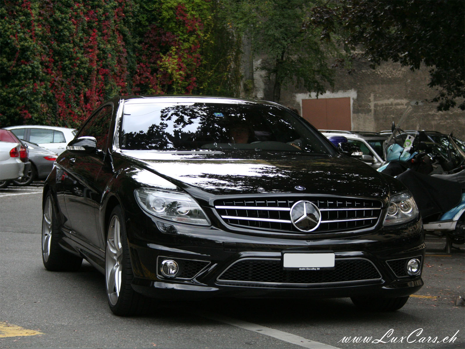 1848_mercedes_cl_63_amg_1600.jpg