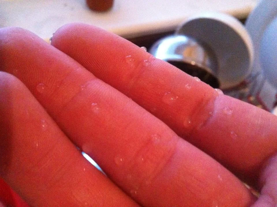18AEE0ED-2978-43AB-B56E-B4A63B47AF6C_zpspznuhnol.webp