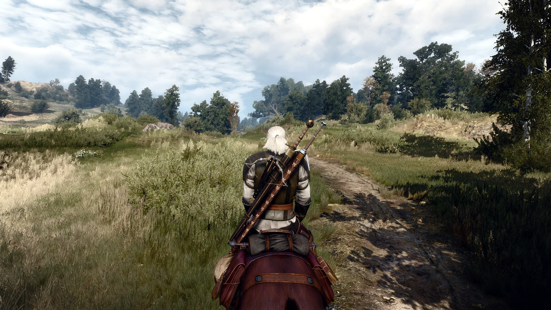 1920x1080px-LL-1dc96580_witcher32015-05-2819-19-29.webp