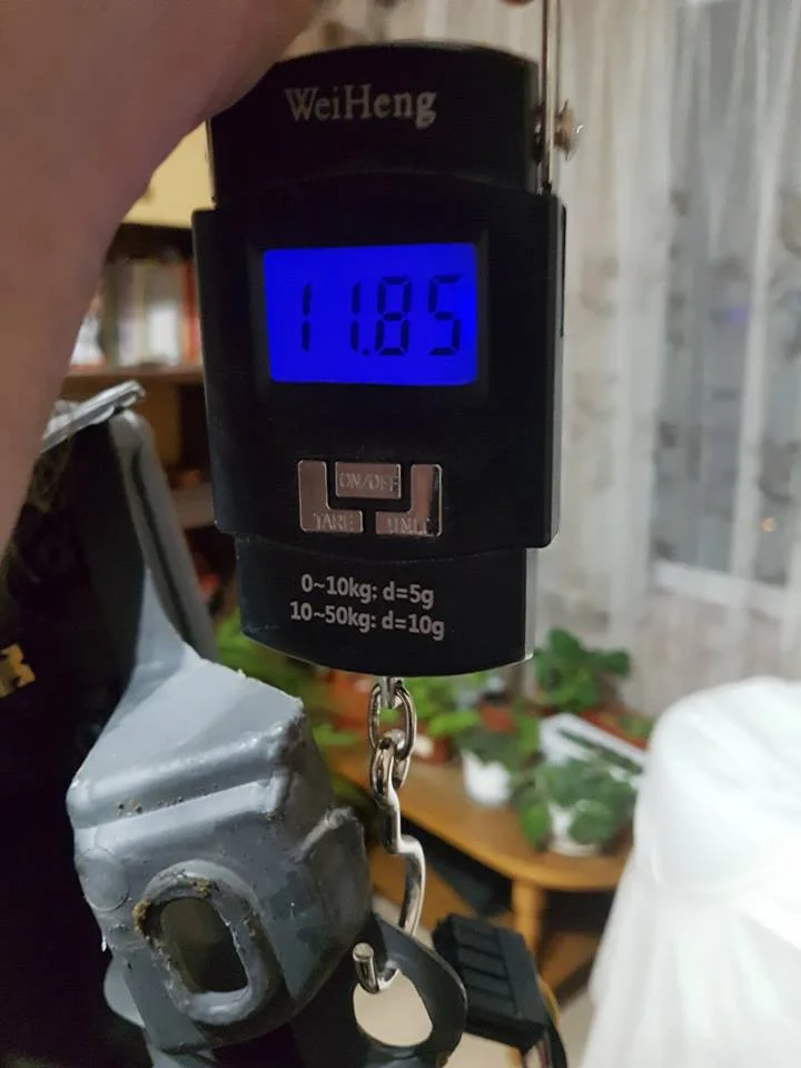 194.webp