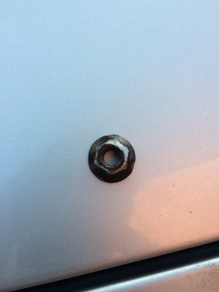 19916812685_be416f8b3a_b.webp