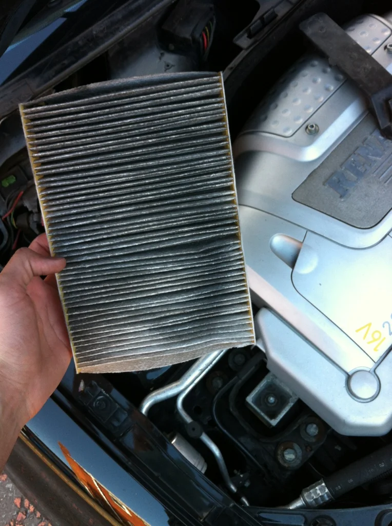 1dfc4a04.webp
