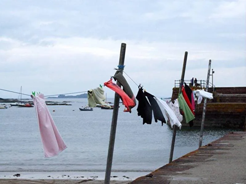 1WASHINGLINE850size.webp