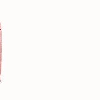200.gif