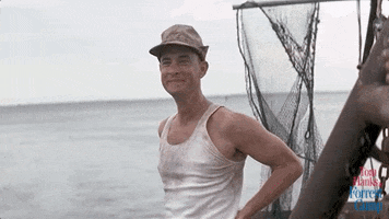 200.gif