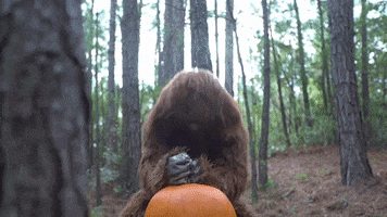 200.gif