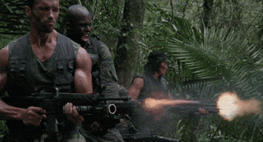 200.gif