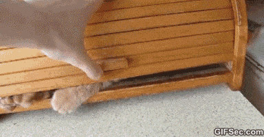 200.gif