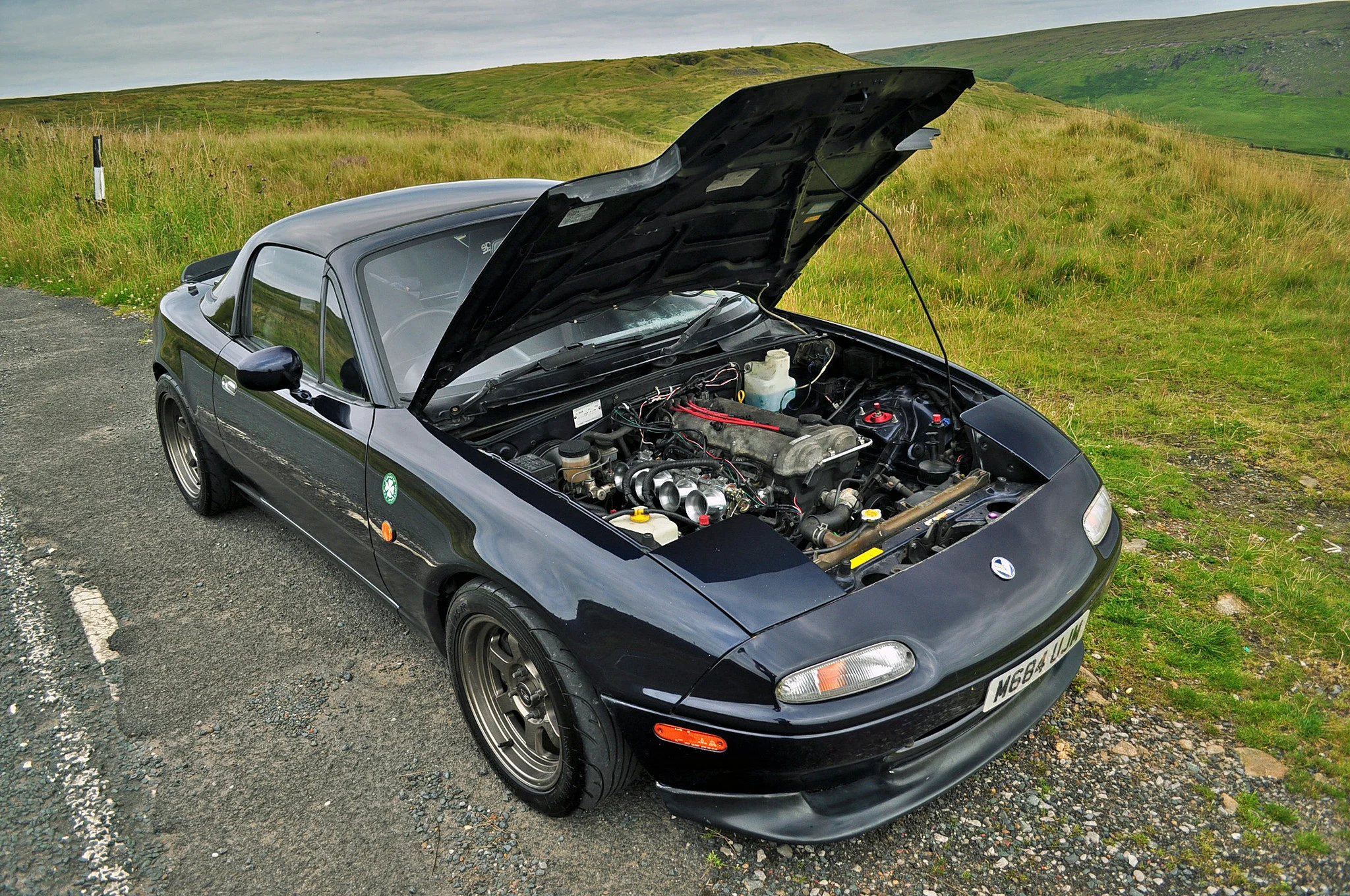 20008770934_13efe88cc3_c.webp