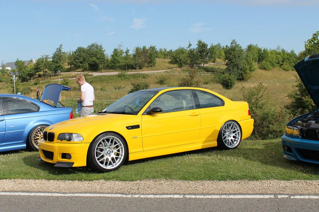 20011963384_b5a2f6c2f1_b.webp
