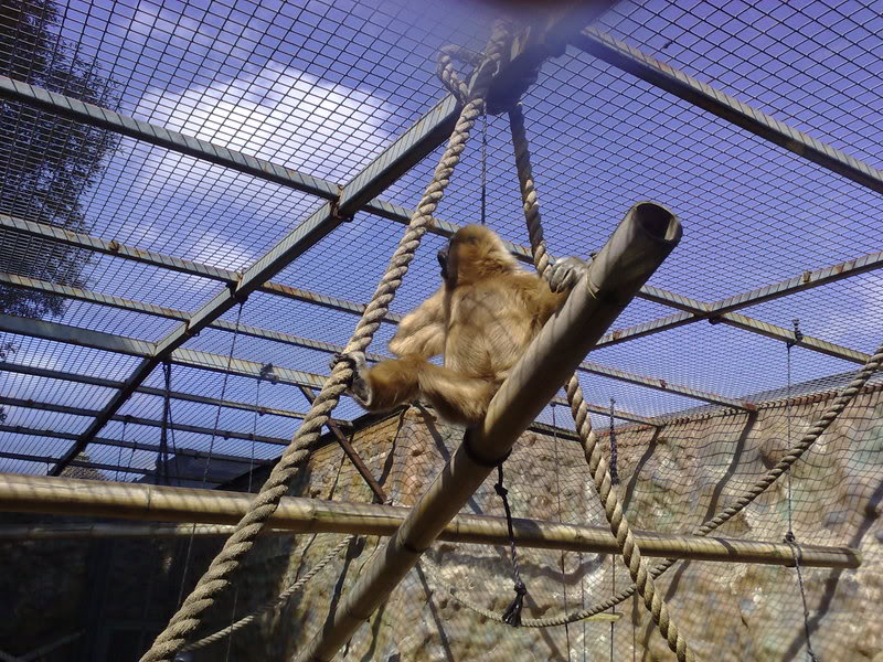 20042007036.jpg