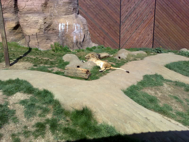20042007053.jpg