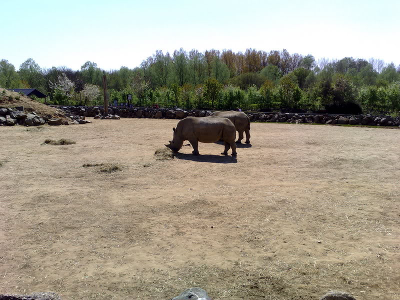 20042007066.jpg