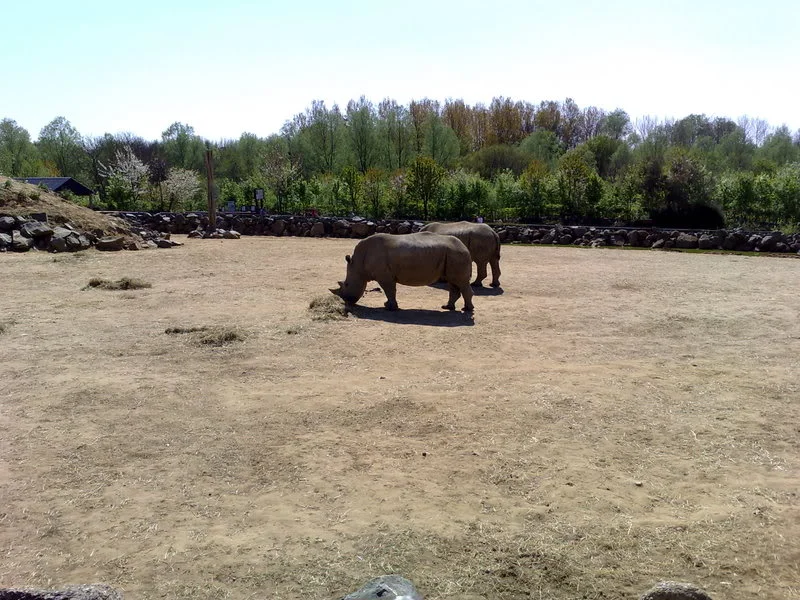 20042007066.webp