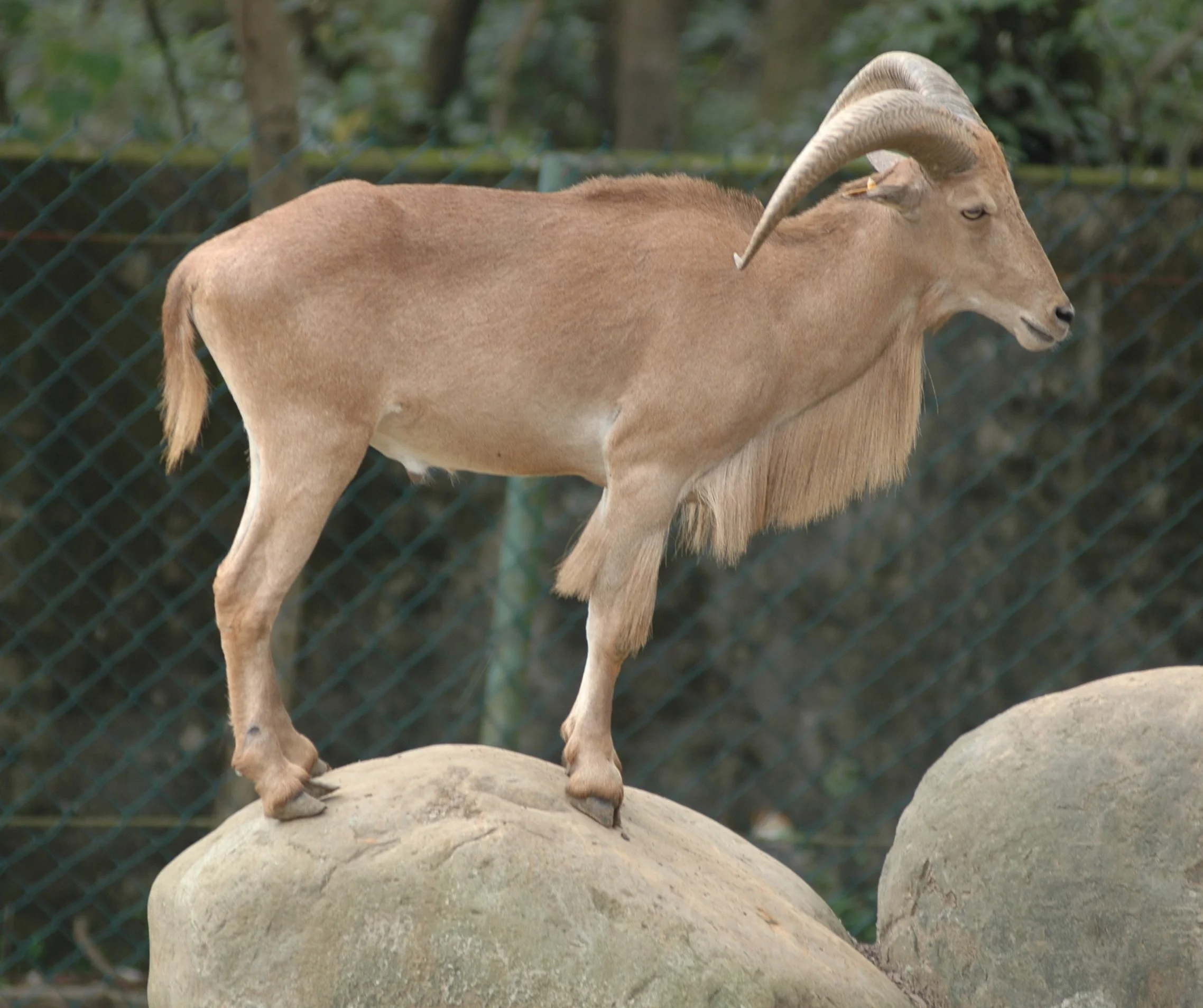 20050828-2272%20Ram%20Leofoo%20Village.webp