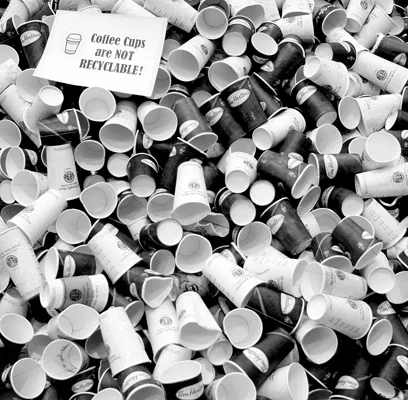 20051128-CoffeeCups.webp