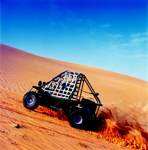 20060329-OffRoadAuctionLrg.webp