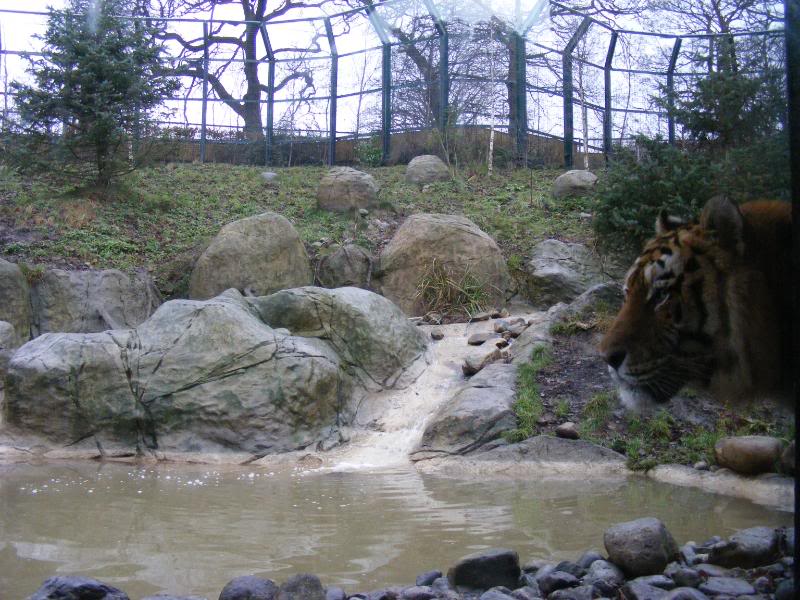2007_01190140.jpg