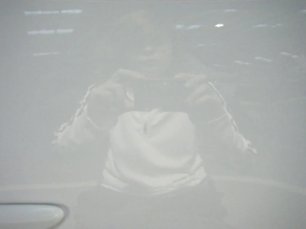 2008_1109newdawns0007.webp