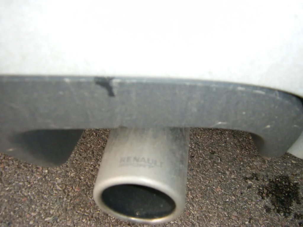 2008_1109newdawns0012.webp