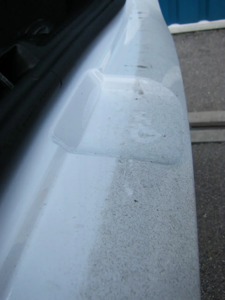 2008_1109newdawns0020.webp