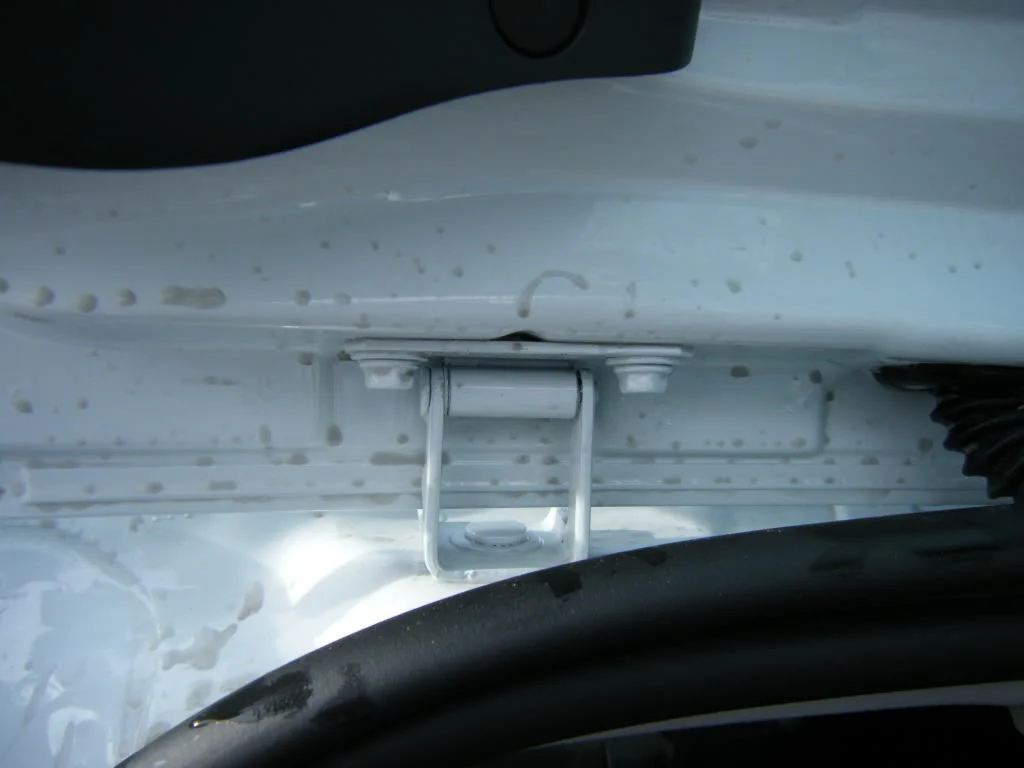 2008_1109newdawns0024.webp