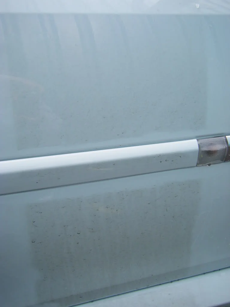 2008_1109newdawns0040.webp