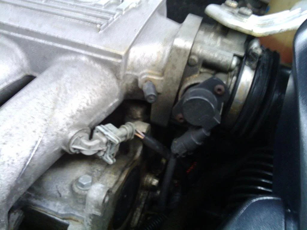 2009-11-24101350.webp