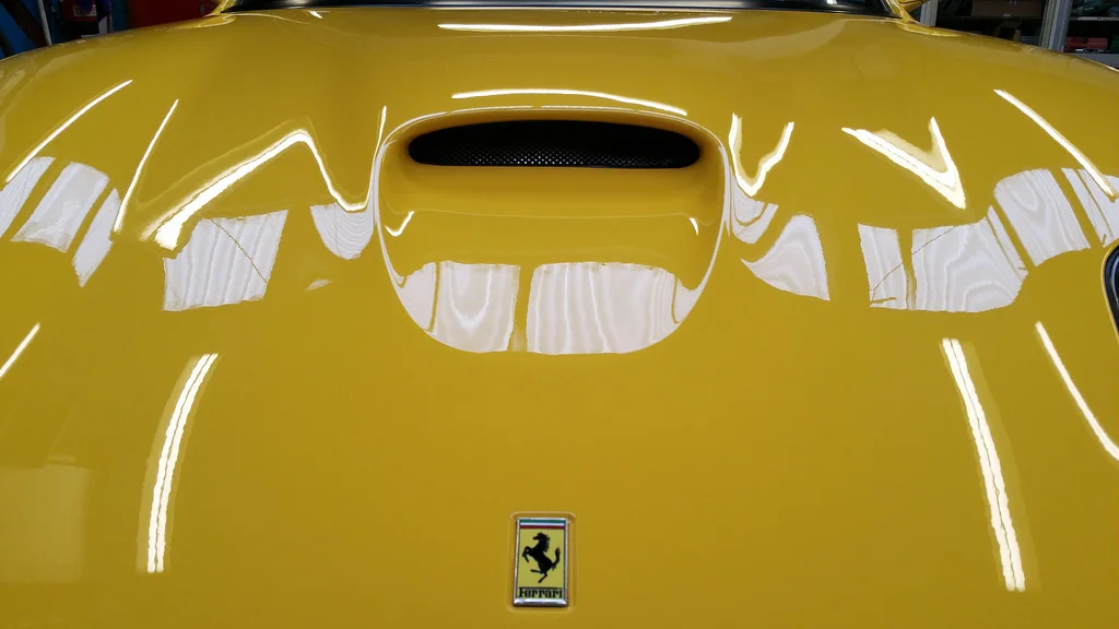 20094715095_6173ef33f3_b.webp