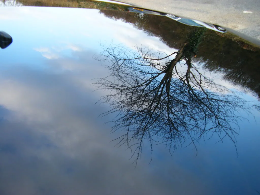 2009_03224th0001.webp
