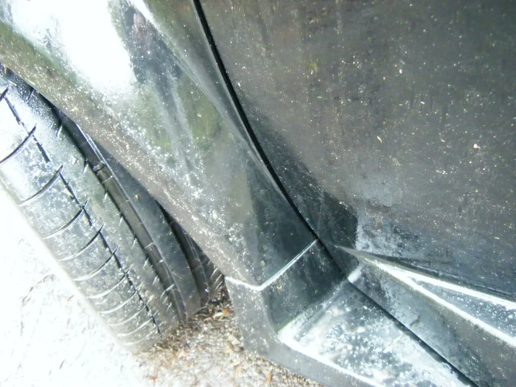 2009_0412veedirty0003.webp