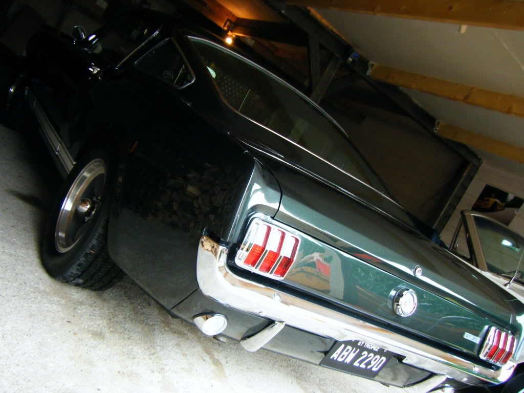 2009_0606mustang0001.jpg