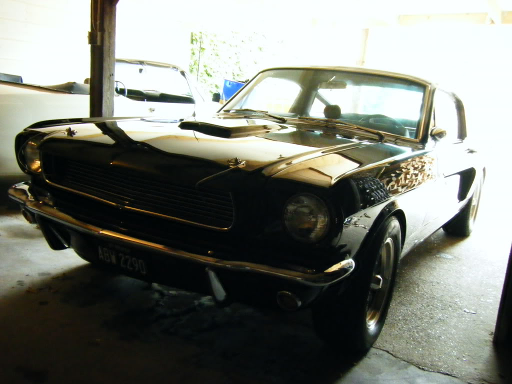 2009_0606mustang0002.jpg