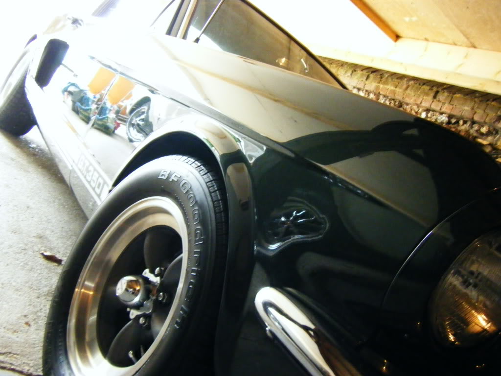 2009_0606mustang0005.jpg