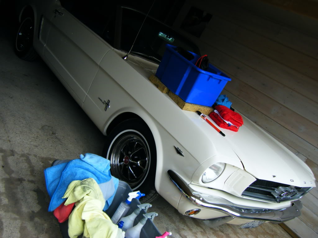 2009_0606mustang0007.jpg