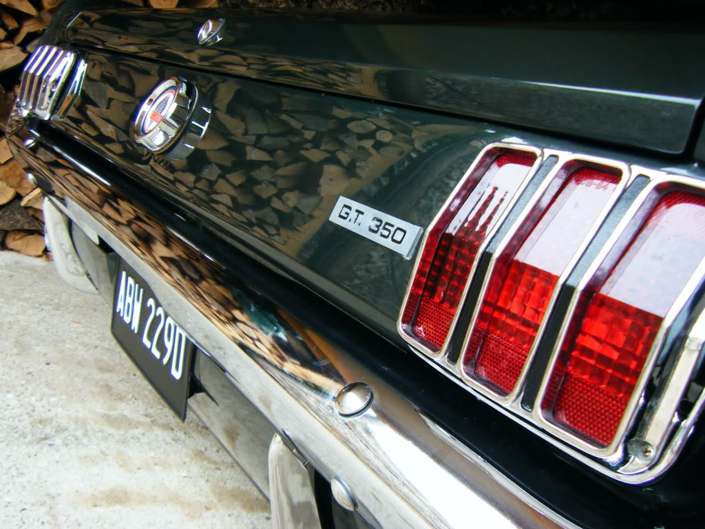 2009_0606mustang0013.jpg