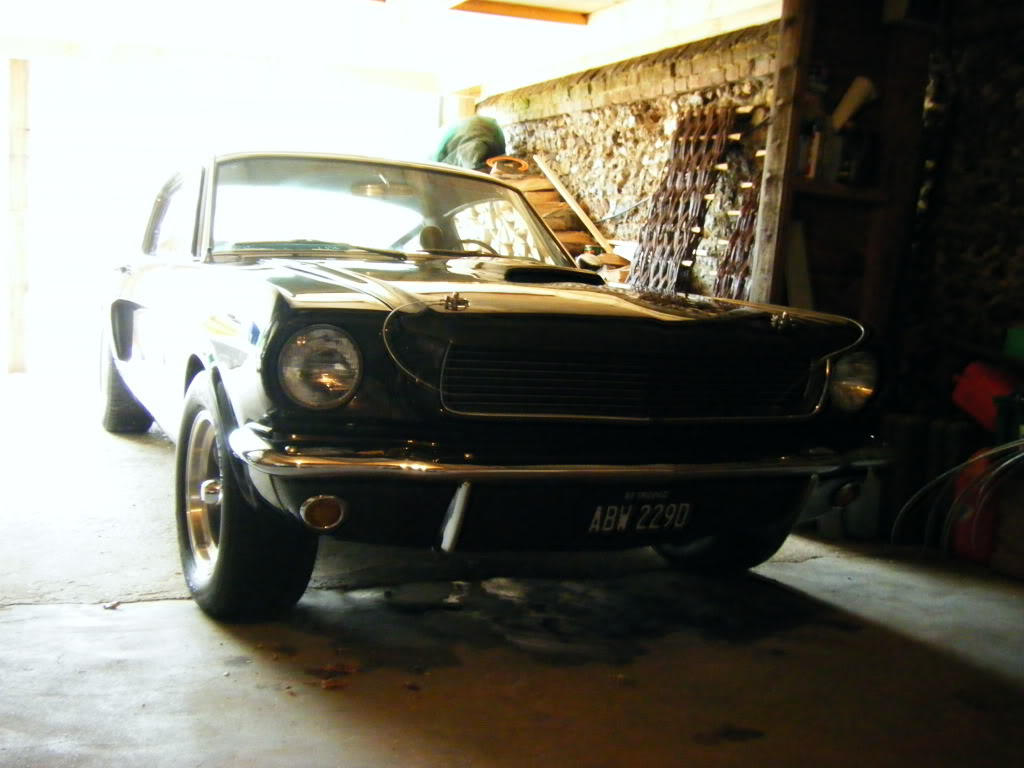 2009_0606mustang0015.jpg