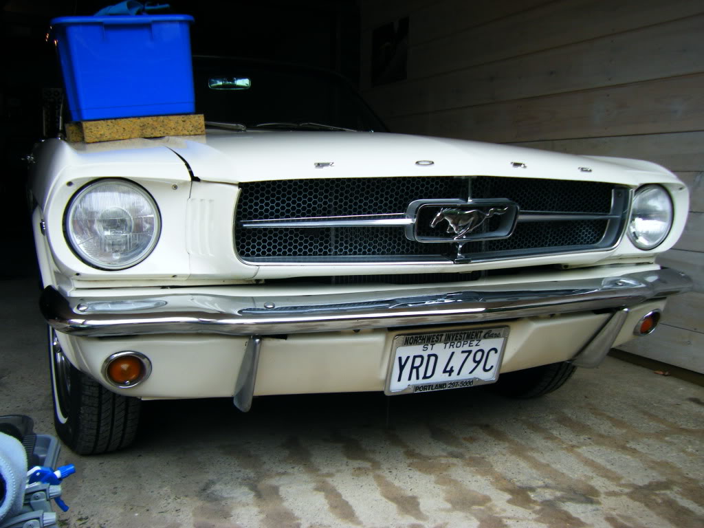 2009_0606mustang0019.jpg