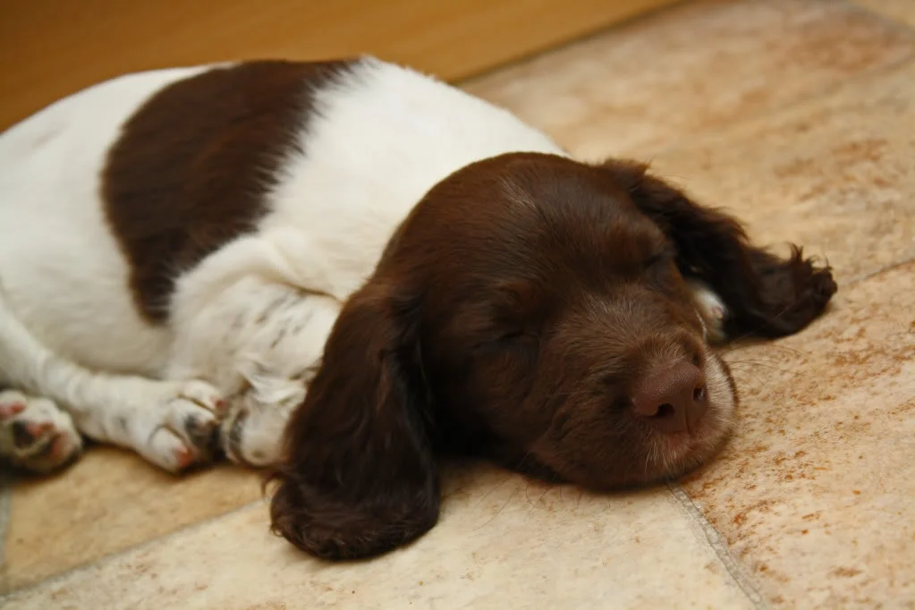 2009_07_09_1099.webp