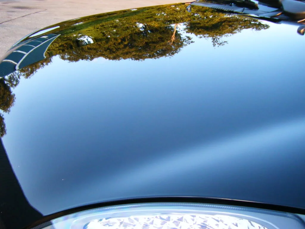 2009_0822vics70019.webp
