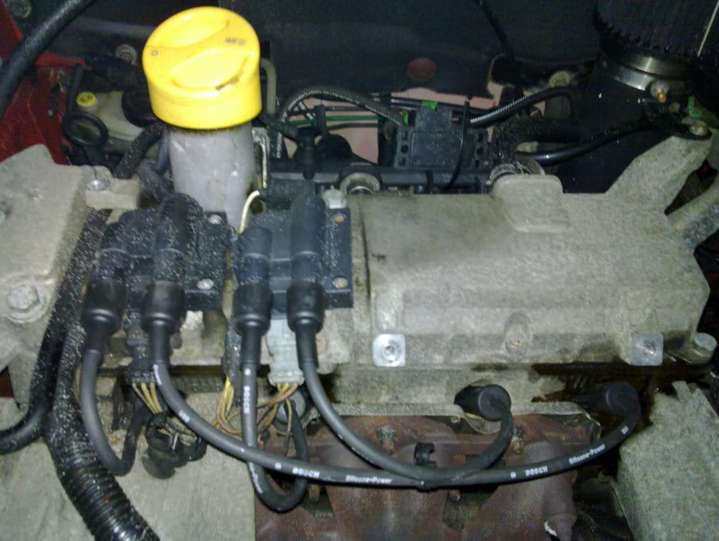 20100206_001-1.jpg