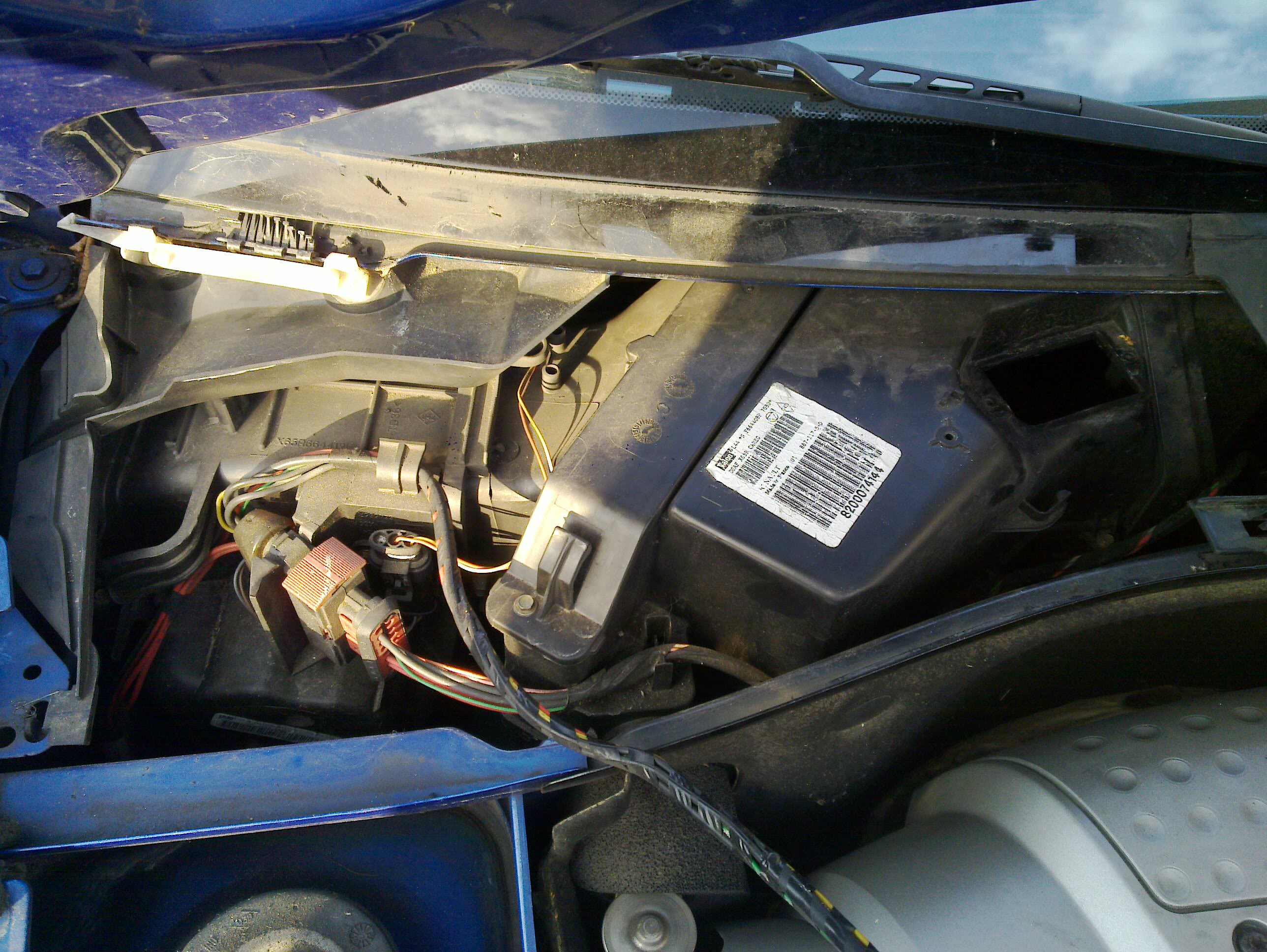 20100624_007.jpg
