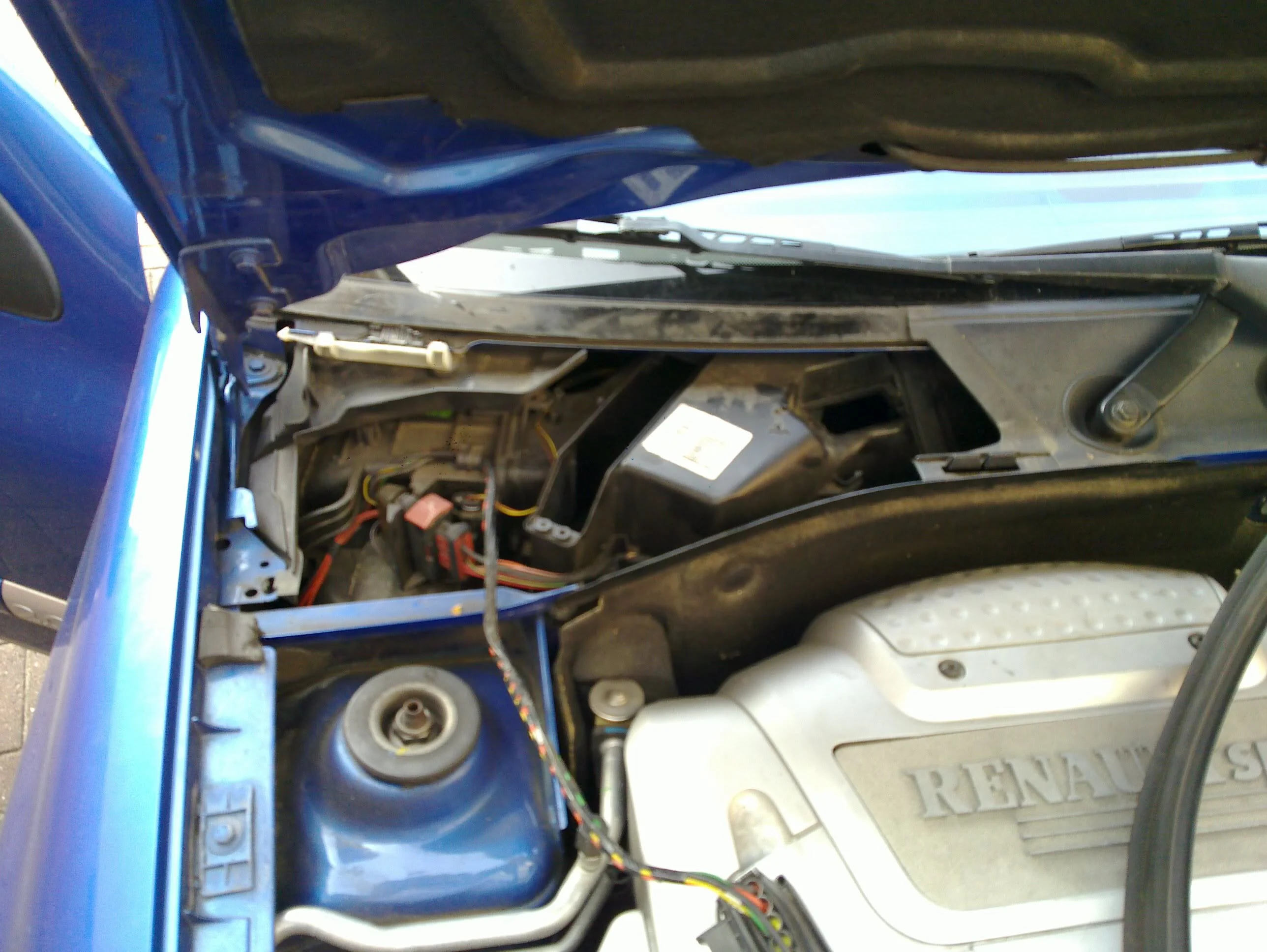 20100626_004.webp