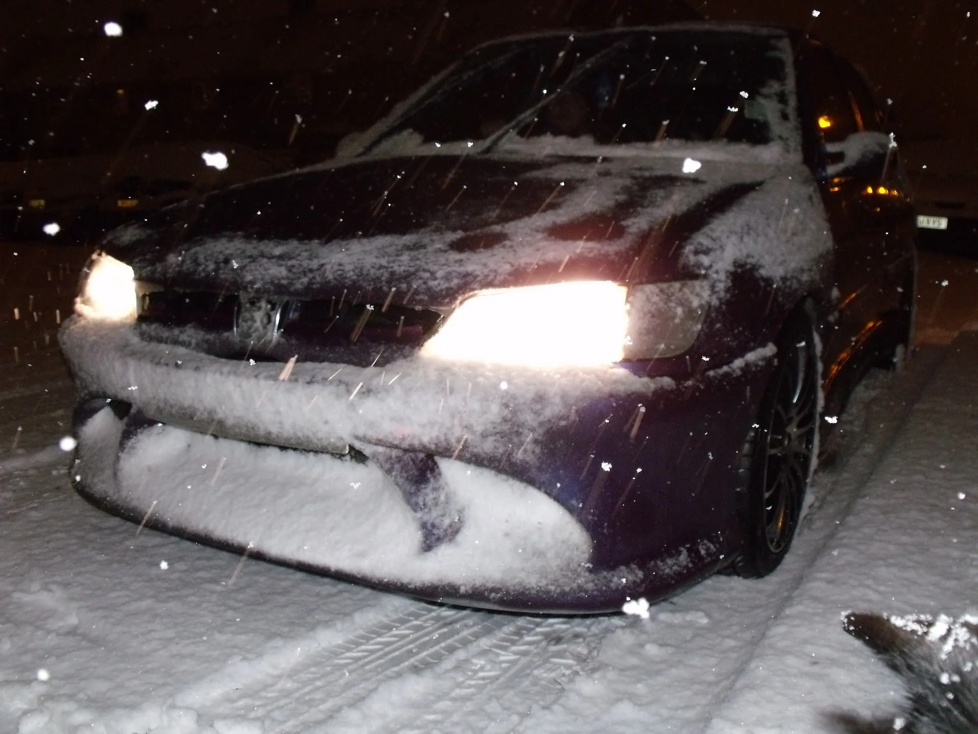 2010_0105snow0002.webp