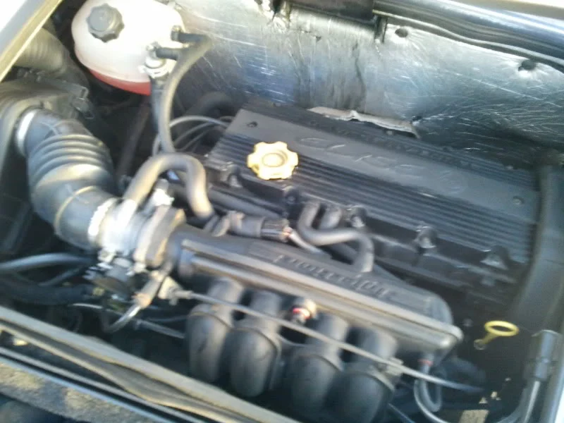 2011-02-12162836.webp