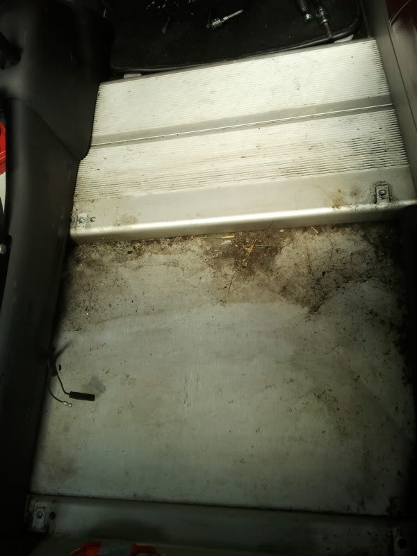 2011-06-04122946.jpg